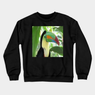 Keel billed Toucan Crewneck Sweatshirt